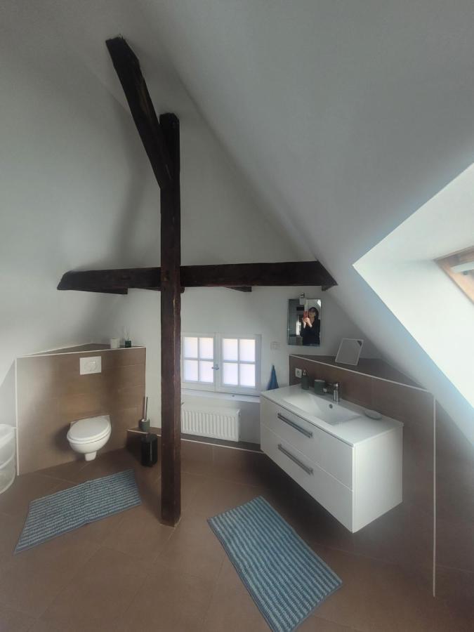 Studio 50M2 Au Bord De L'Eau A Štrasburk Exteriér fotografie
